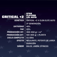 CRITICAL +2 XXL AUTO X4 -BSF (DS)