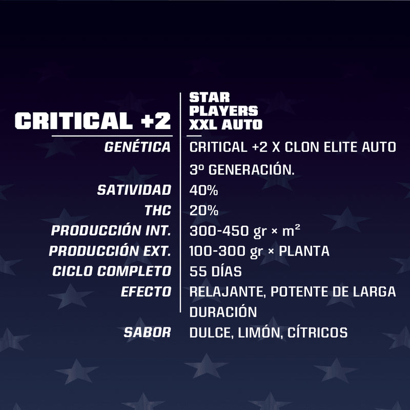 CRITICAL +2 XXL AUTO X7-BSF (DS)
