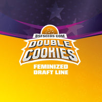 DOUBLE COOKIES SP FEM X4 -BSF (DS)