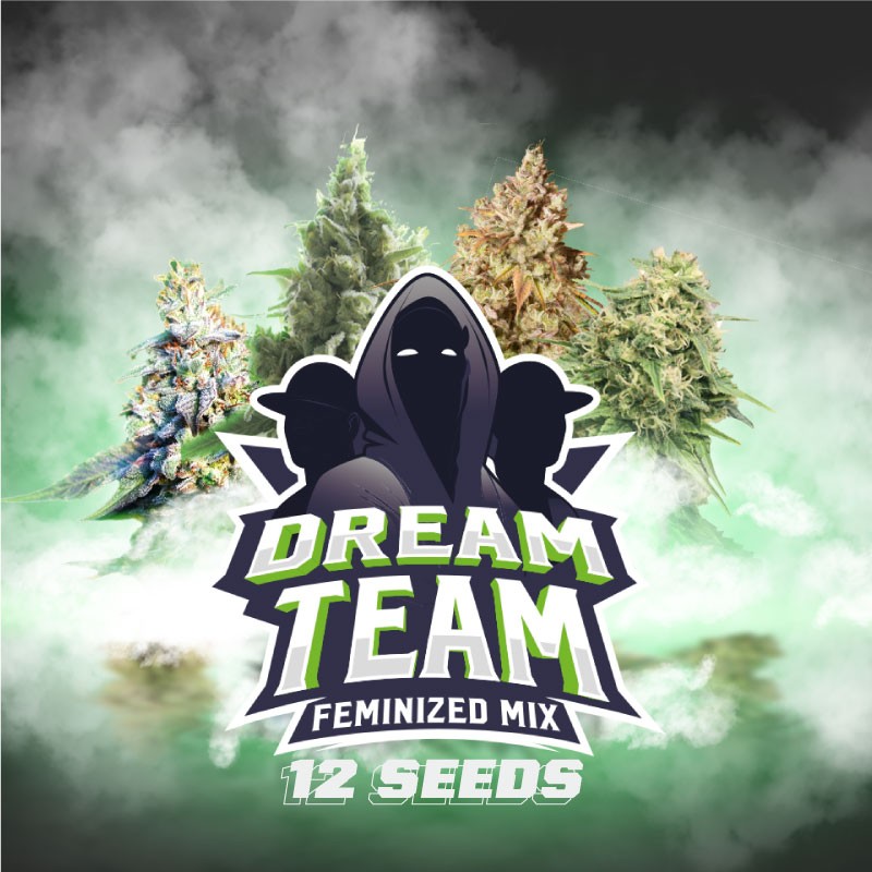 DREAM TEAM MIX FEM X12-BSF (DS)