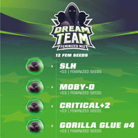 DREAM TEAM MIX FEM X12-BSF (DS)