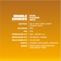 DOUBLE COOKIES SP AUTO X4 -BSF (DS)