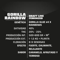 GORILLA RAINBOWS FEM X4 -BSF (DS)
