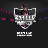 GORILLA RAINBOWS FEM X4 -BSF (DS)