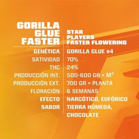 GORILLA GLUE FASTER FEM X4 - BSF (DS)
