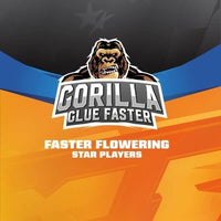 GORILLA GLUE FASTER FEM X4 - BSF (DS)