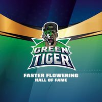 GREEN TIGER FAST FEM X7-BSF (DS)