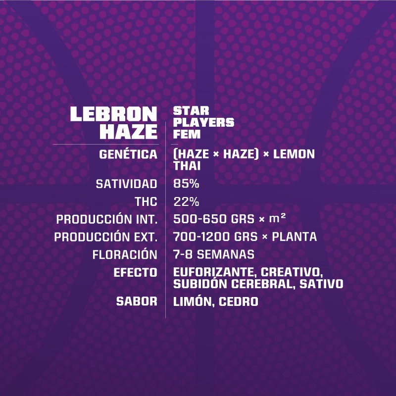 LEBRON HAZE FEM X4-BSF (DS)