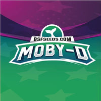 MOBY-D FEM X4-BSF (DS)