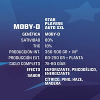 MOBY-D XXL AUTO X4-BSF (DS)
