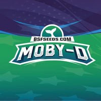 MOBY-D XXL AUTO X4-BSF (DS)