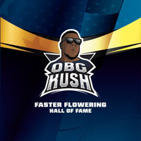 OBG KUSH FAST FEM X4-BSF (DS)