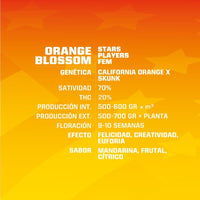 ORANGE BLOSSOM FEM X4 -BSF (DS)