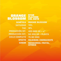 ORANGE BLOSSOM XXL AUTO X4 -BSF (DS)