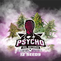 PSYCHO XXL AUTO X12 -BSF (DS)