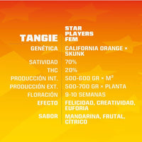 TANGIE FEM X4-BSF (DS)