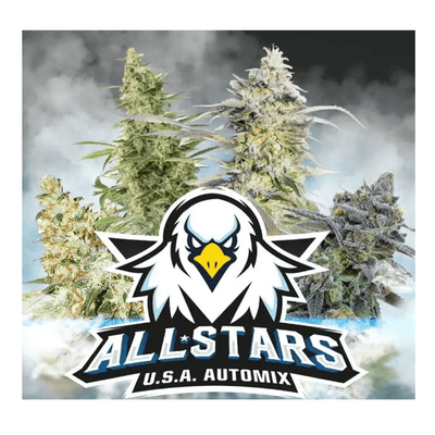 ALL STARS USA MIX AUTO X4 -BSF (DS)