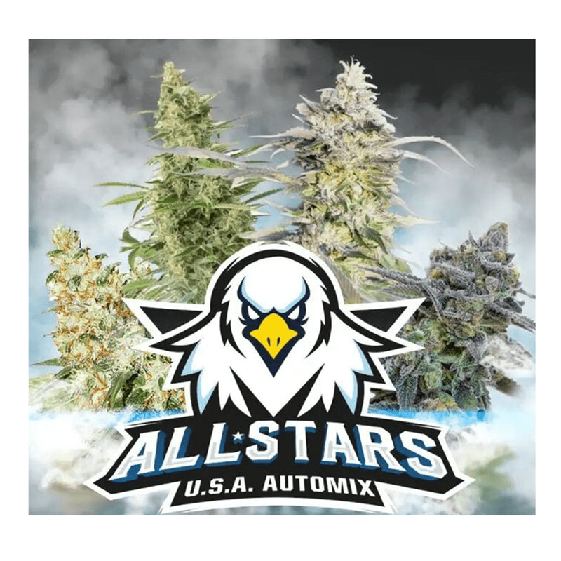 ALL STARS USA MIX AUTO X4 -BSF (DS)