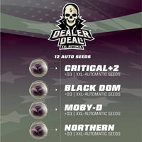 DEALER DEAL XXL AUTO X12 -BSF (DS)