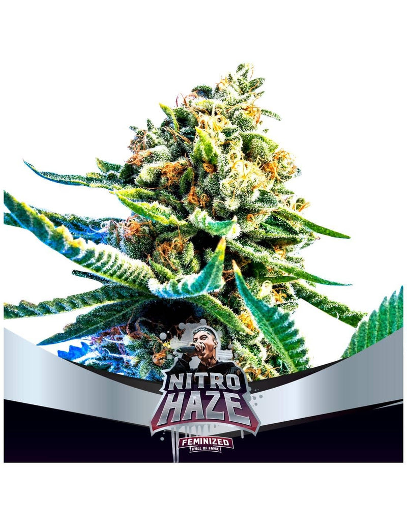 NITRO HAZE FEM X2-BSF (DS)