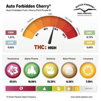 FORBIDDEN CHERRY AUTO X3- DUTCH PASSION (DS)