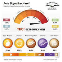 SKYWALKER HAZE AUTO X100-DUTCH PASSION (DS)