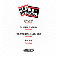OLD SKOOL MIX FEM X12-BSF (DS)