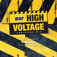 HIGH VOLTAGE MIX FEM X12-BSF (DS)