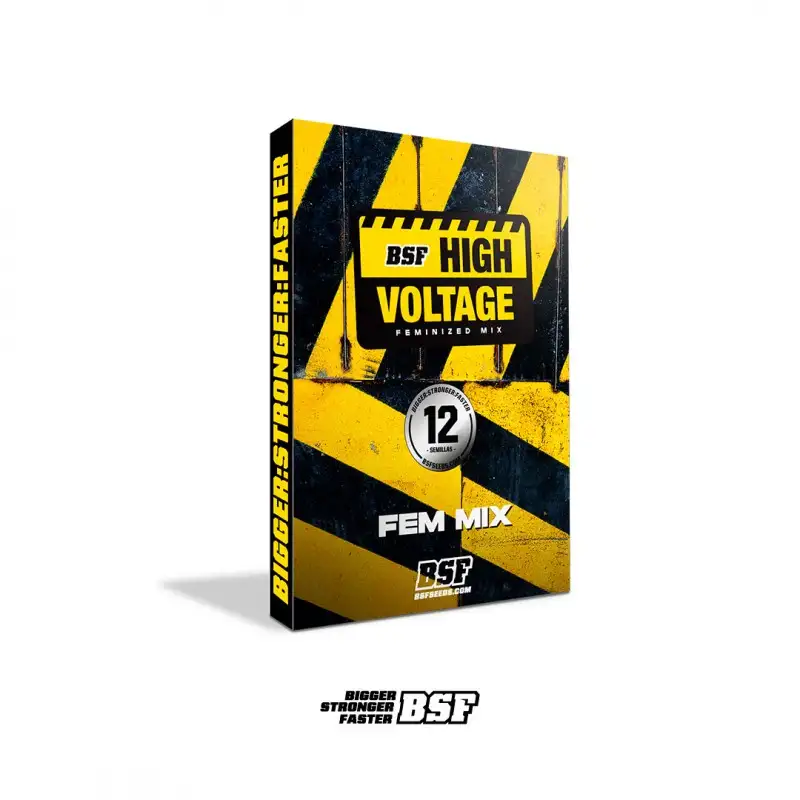 HIGH VOLTAGE MIX FEM X12-BSF (DS)