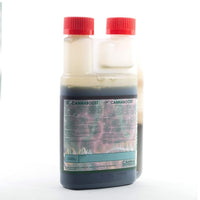 BOOST ACCELERATOR 250ML-CANNA (DS)