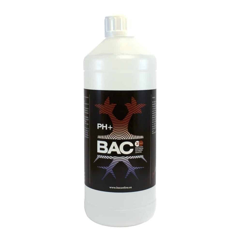 PH UP 1LT-BAC (DS)