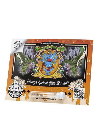 ORANGE APRICOT GLUE XL AUTO 3+1-SWEET SEEDS (DS)