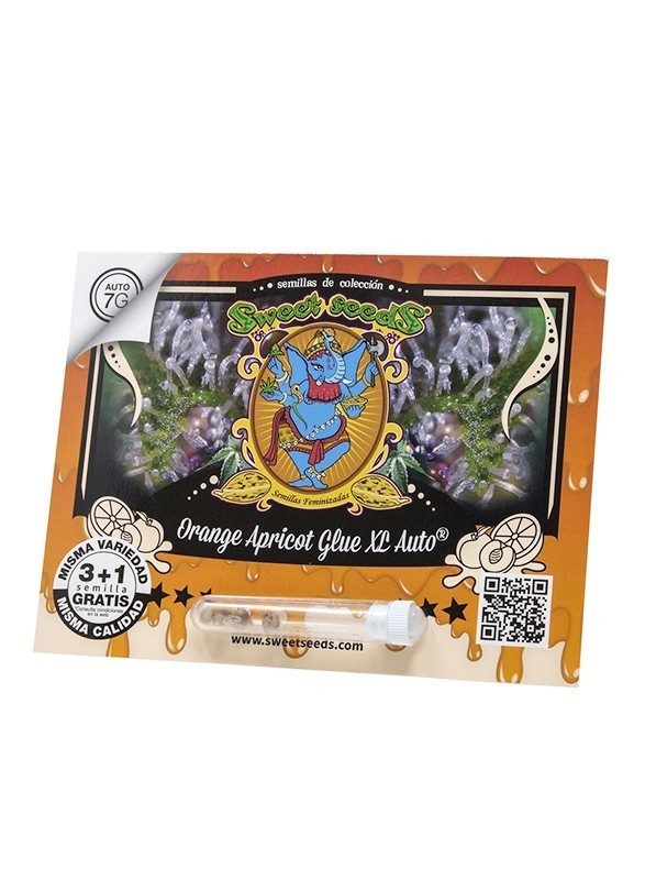ORANGE APRICOT GLUE XL AUTO 3+1-SWEET SEEDS (DS)