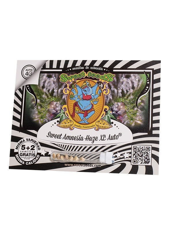 SWEET AMNESIA HAZE XL AUTO X5+2-SWEET SEEDS (DS)