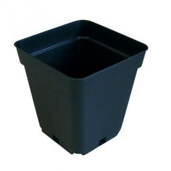 MACETA CUADRADA NEGRA 5LT (DS)