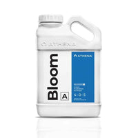 BLOOM A+B 3.75LT-ATHENA (DS)
