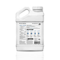 BLOOM A+B 3.75LT-ATHENA (DS)