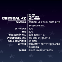 CRITICAL +2 XXL AUTO X2-BSF (DS)