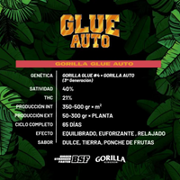 GORILLA GLUE AUTO X4-BSF (DS)