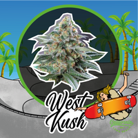 WEST KUSH AUTO X2-DELIRIUM SEEDS (DS)