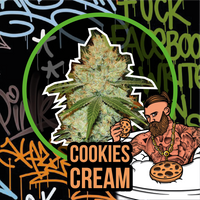 COOKIES CREAM AUTO X4-DELIRIUM SEEDS (DS)