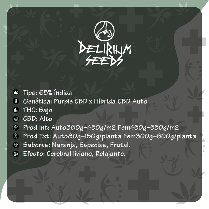 MEDICAL CBD AUTO X1-DELIRIUM SEEDS (DS)