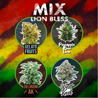 MIX LION BLESS AUTO X4-DELIRIUM SEEDS (DS)