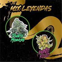 MIX LEYENDAS AUTO X14-DELIRIUM SEEDS (DS)