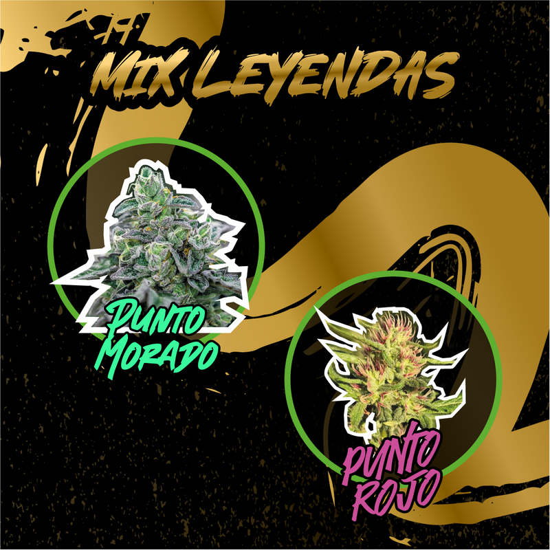 MIX LEYENDAS AUTO X14-DELIRIUM SEEDS (DS)