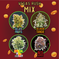 MIX VEGAS RUSH FEM X8-DELIRIUM SEEDS (DS)