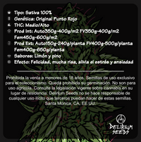 PUNTO ROJO FAST VERSION X4-DELIRIUM SEEDS (DS)