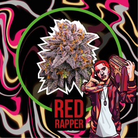 RED RAPPER AUTO X2-DELIRIUM SEEDS (DS)