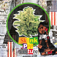 SKUNK POP CULTURE AUTO X1-DELIRIUM SEEDS (DS)