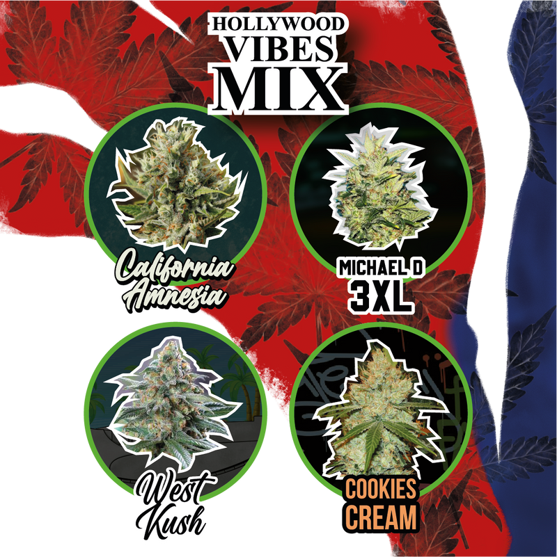 MIX HOLLYWOOD VIBE AUTO X14-DELIRIUM SEEDS (DS)